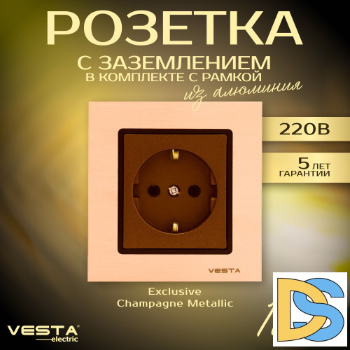 Розетка одинарная с заземлением в рамке из алюминия Vesta-Electric Exclusive Champagne Metallic