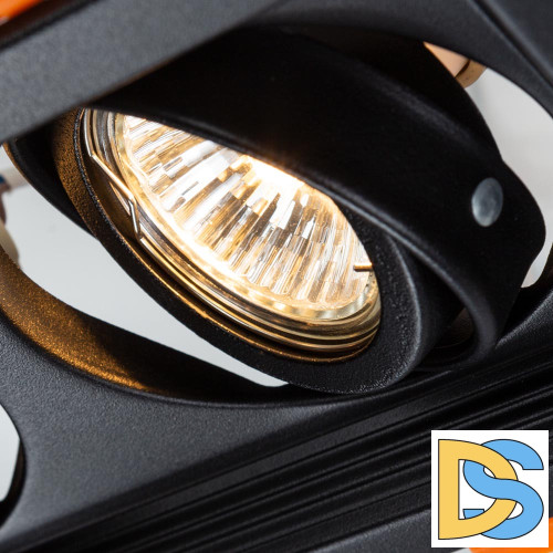 Встраиваемый светильник Arte Lamp Canis A6661PL-2BK