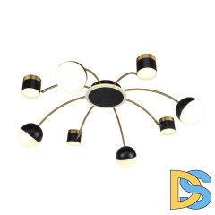 Потолочная люстра F-Promo Canvas 3096-8P