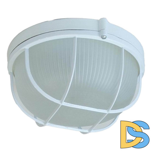 Настенно-потолочный светильник ЭРА НБП 03-60-002 Б0048421