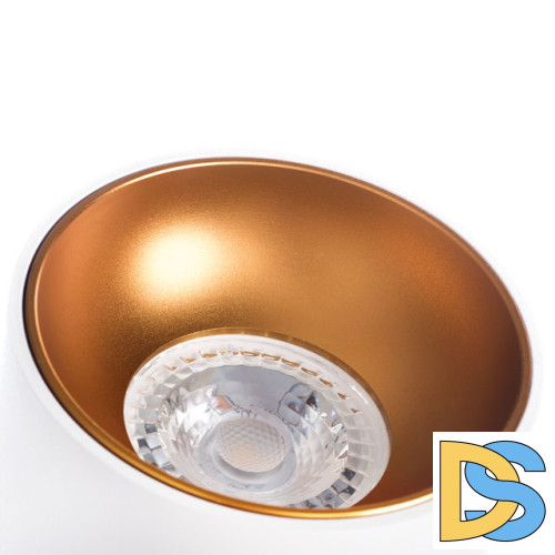 Потолочный светильник Kanlux Riti GU10 W/G 27570