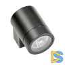 Уличный настенный светильник Lightstar Paro 350607