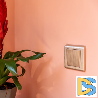 Рамка на 1 пост (шампань) W0012111