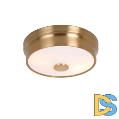 Потолочный светильник Favourite Pannikin 2375-2C