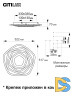 Потолочный светильник Citilux Триест Смарт CL737A54E