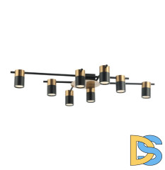 Потолочная люстра Favourite Topper 2825-8P