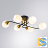 Потолочная люстра Arte Lamp Andrea A8141PL-6BK