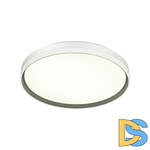 Настенно-потолочный светильник Sonex Savi 7631/DL