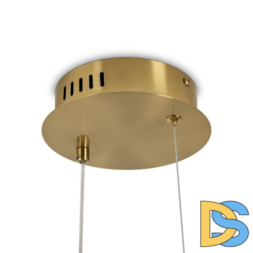 Подвесной светильник Freya Eclat FR6182PL-L14BS