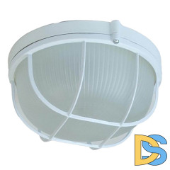 Настенно-потолочный светильник ЭРА НБП 03-100-002 Б0048422