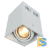 Потолочный светильник Arte Lamp Cardani A5942PL-1WH
