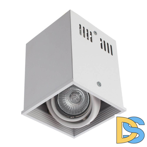 Потолочный светильник Arte Lamp Cardani A5942PL-1WH