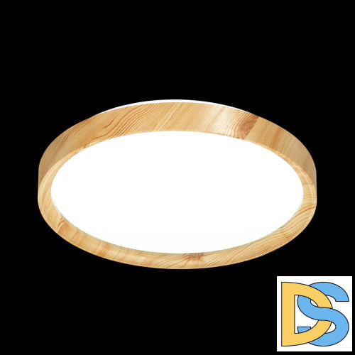 Настенно-потолочный светильник Sonex Woodi 3019/EL