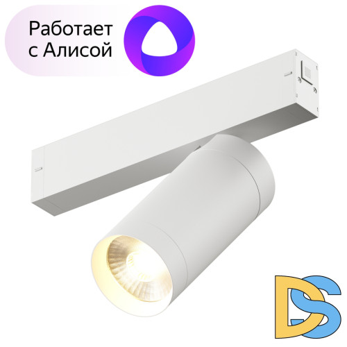 Трековый светильник Denkirs DK8020-WH