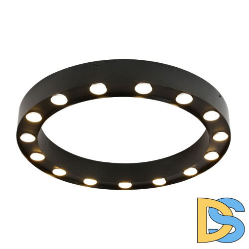 Потолочный светильник Favourite Attica 3007-15U