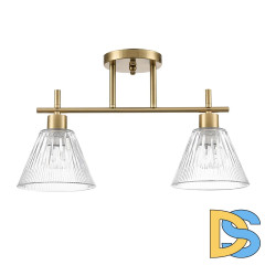 Потолочный светильник Lumion Vivian 8188/2C