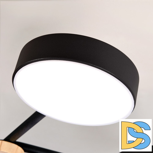 Потолочная люстра LED4U L3201-780 BK
