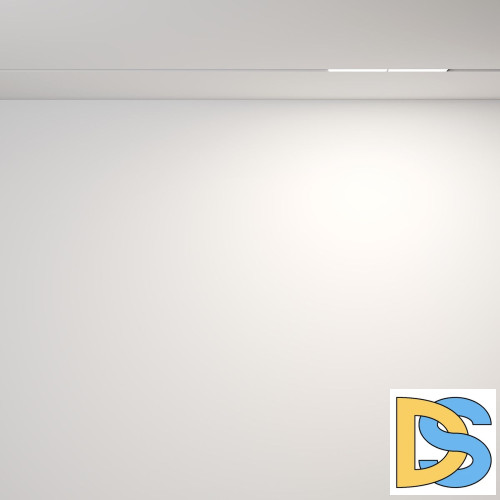 Трековый магнитный светильник Maytoni Parete TR106-2-12W4K-W