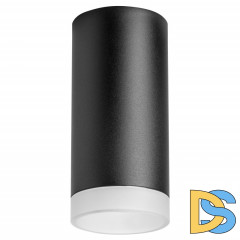 Потолочный светильник Lightstar RULLO R648780 (216487+202480)