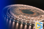Светодиодная лента DesignLed DSG260-12-WW-33 001492