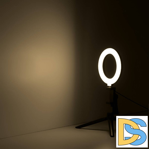 Кольцевой светодиодный светильник Gauss RL001