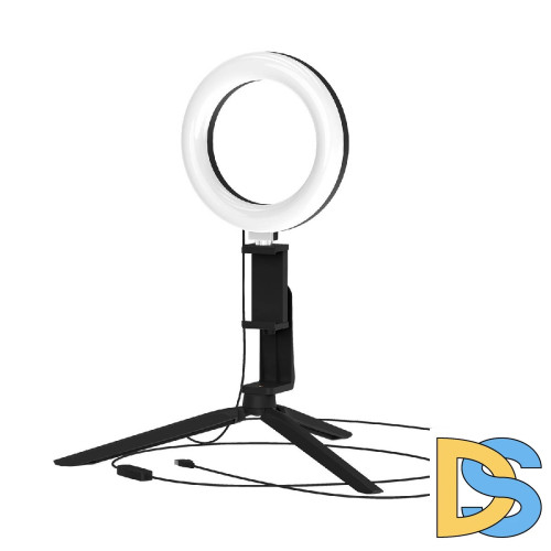 Кольцевой светодиодный светильник Gauss RL001