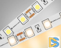 Светодиодная лента Ambrella Light LED Strip 12В 5050 14,4Вт/м 3000K 5м IP20 GS2001