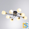 Потолочная люстра Arte Lamp Andrea A8141PL-8BK