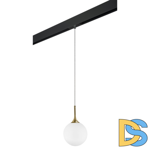 Трековый светильник Lightstar Globo PRO813022 (813022+595007)