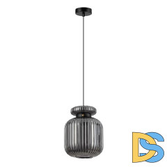 Подвесной светильник Odeon Light Jugi 5042/1B