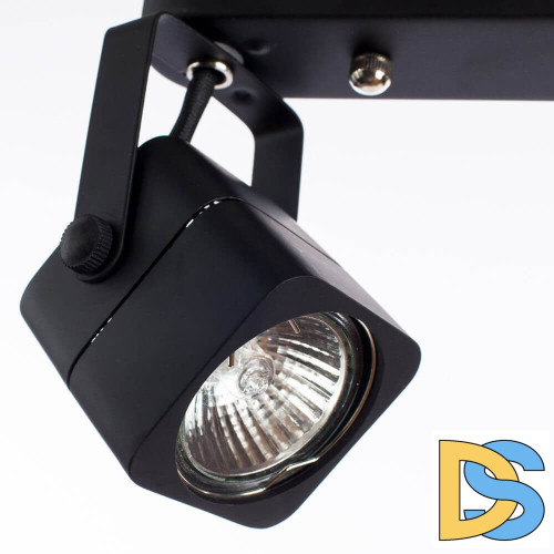 Спот Arte Lamp Lente A1314PL-2BK