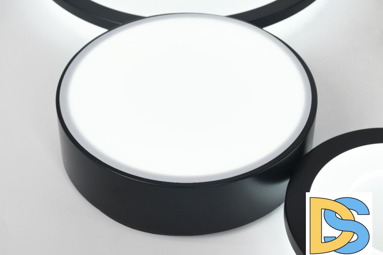 Потолочная люстра Rivoli Aliona 6161-201 Б0066468