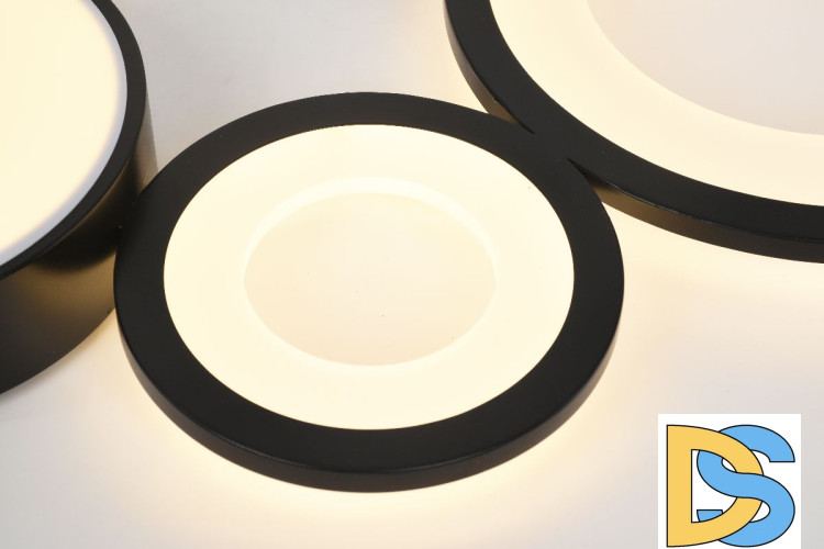 Потолочная люстра Rivoli Aliona 6161-201 Б0066468