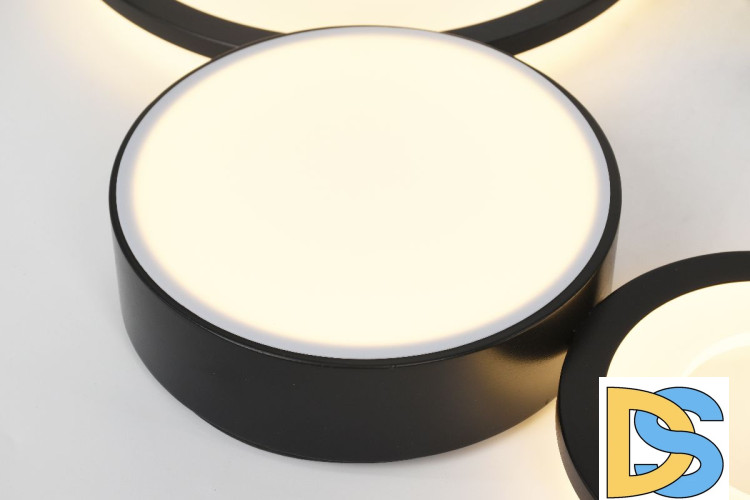 Потолочная люстра Rivoli Aliona 6161-201 Б0066468