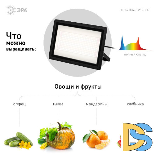 Фитопрожектор Эра FITO-200W-Ra90-LED Б0059879