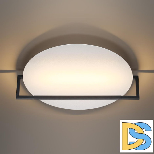 Настенно-потолочный светильник Odeon Light Lunar 7015/20WL