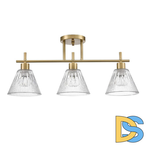 Потолочный светильник Lumion Vivian 8188/3C