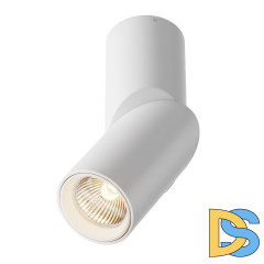 Светодиодный спот Maytoni Dafne C027CL-L10W 3000K