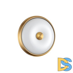 Настенно-потолочный светильник Odeon Light Pelow 4956/2