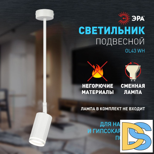 Спот Эра OL43 WH Б0058489