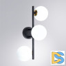 Бра Arte Lamp Gemini A2243PL-3BK