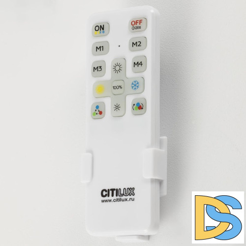 Потолочная люстра Citilux Стиг CL203131