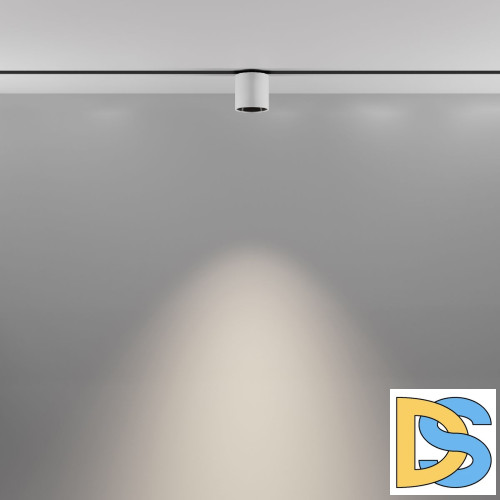 Трековый магнитный светильник Maytoni Alfa S TR132-2-7W4K-W