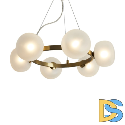 Подвесная люстра Freya Donuts FR5444PL-06BS