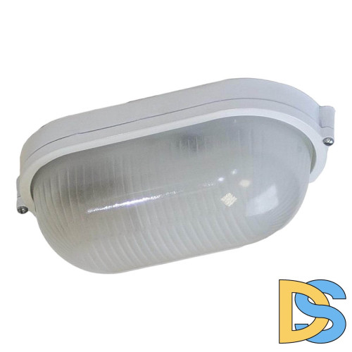 Настенно-потолочный светильник ЭРА НБП 04-100-001 Б0048424