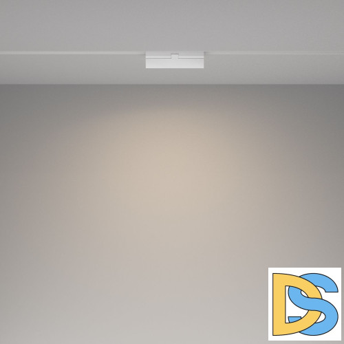 Трековый магнитный светильник Maytoni Basis Rot TR036-2-12W4K-W