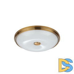 Настенно-потолочный светильник Odeon Light Pelow 4956/4