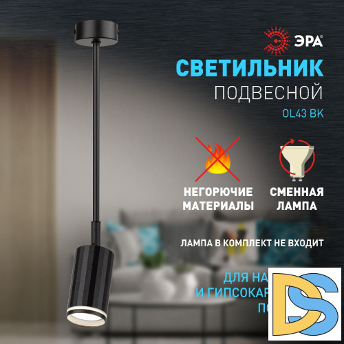 Спот Эра OL43 BK Б0058490