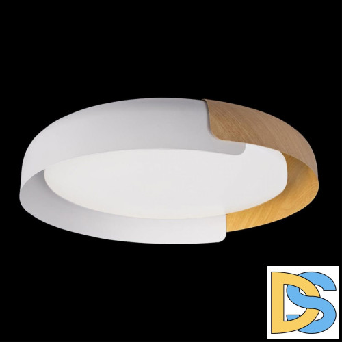 Потолочный светильник Loft IT Coin 10198 White