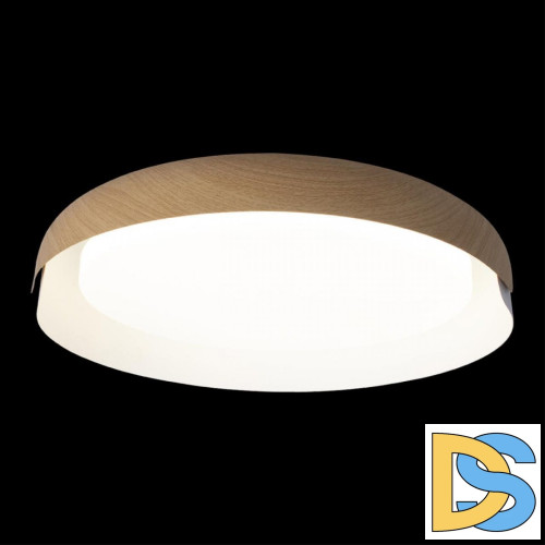 Потолочный светильник Loft IT Coin 10198 White